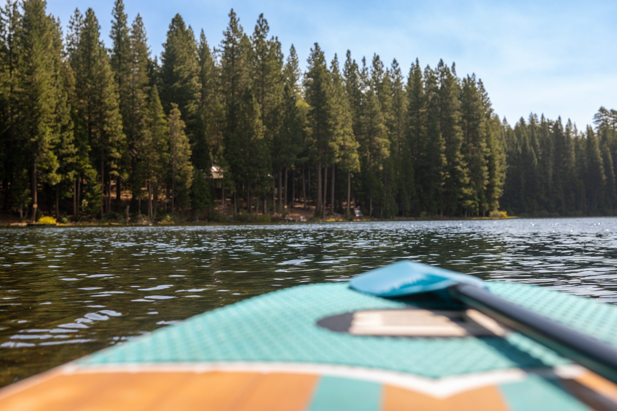 First-person view from a paddleboard on Fuller Lake — calm water and a pine-lined shore under a clear Sierra sky.